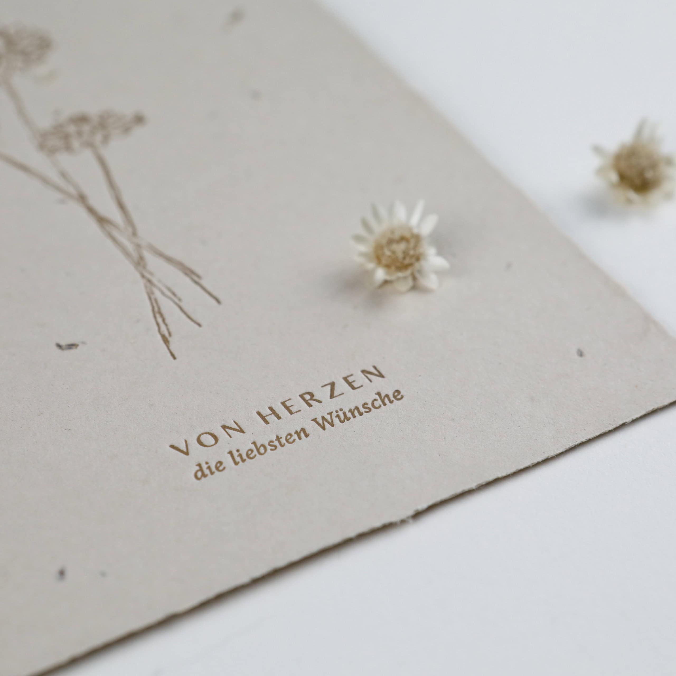 Karte aus handgeschöpftem Saatpapier zum gratulieren, Geburtstagskarte Samenpapier mit Schafgarbe-Samen, Blumenmotiv, Letterpress-Druck, Papierknöpfchen Zeichnung