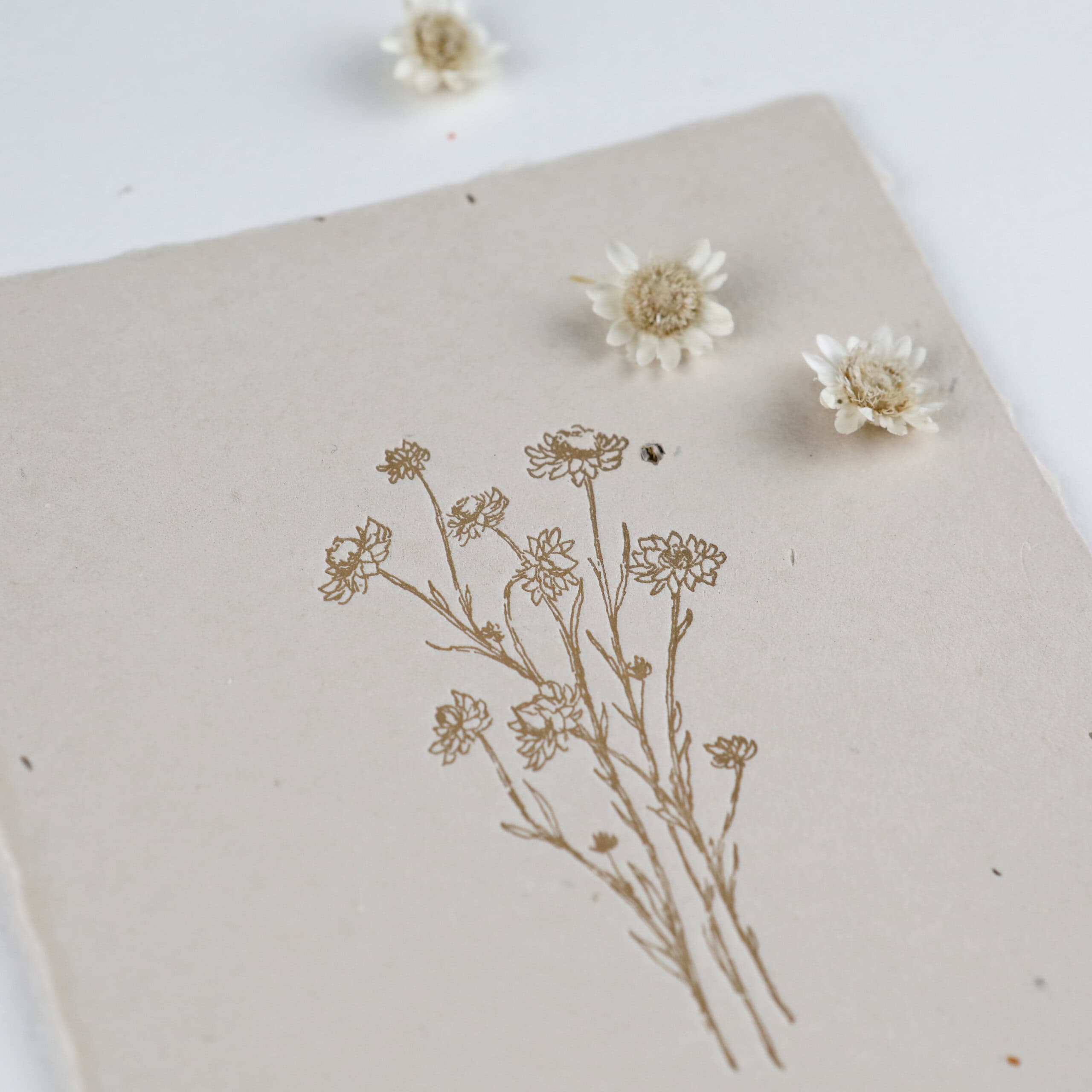 Karte aus handgeschöpftem Saatpapier zum Liebe zeigen, Karte Samenpapier mit Schafgarbe-Samen, Blumenmotiv, Letterpress-Druck, Papierknöpfchen Zeichnung