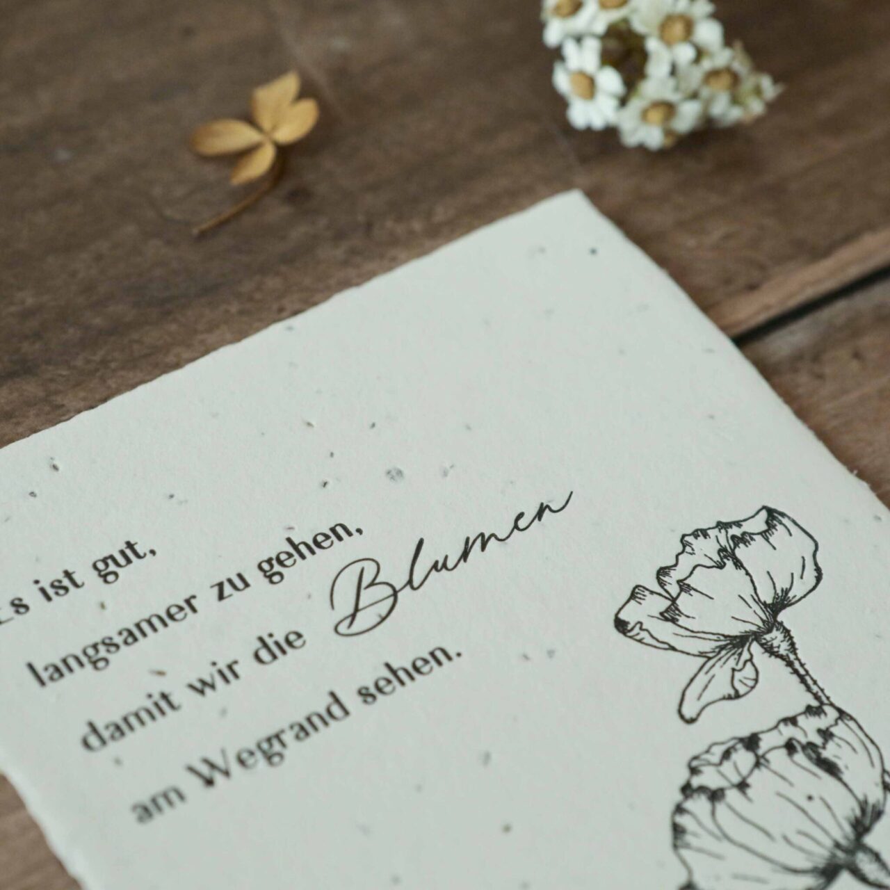 Einpflanzbare Karte zu jedem Anlass, handgeschöpftes Saatpapier, Samenpapier, Blumen am Wegrand, Mohnblumen, Wildblumen, Es ist gut, langsamer zu gehen, damit wir die Blumen am Wegrand sehen.