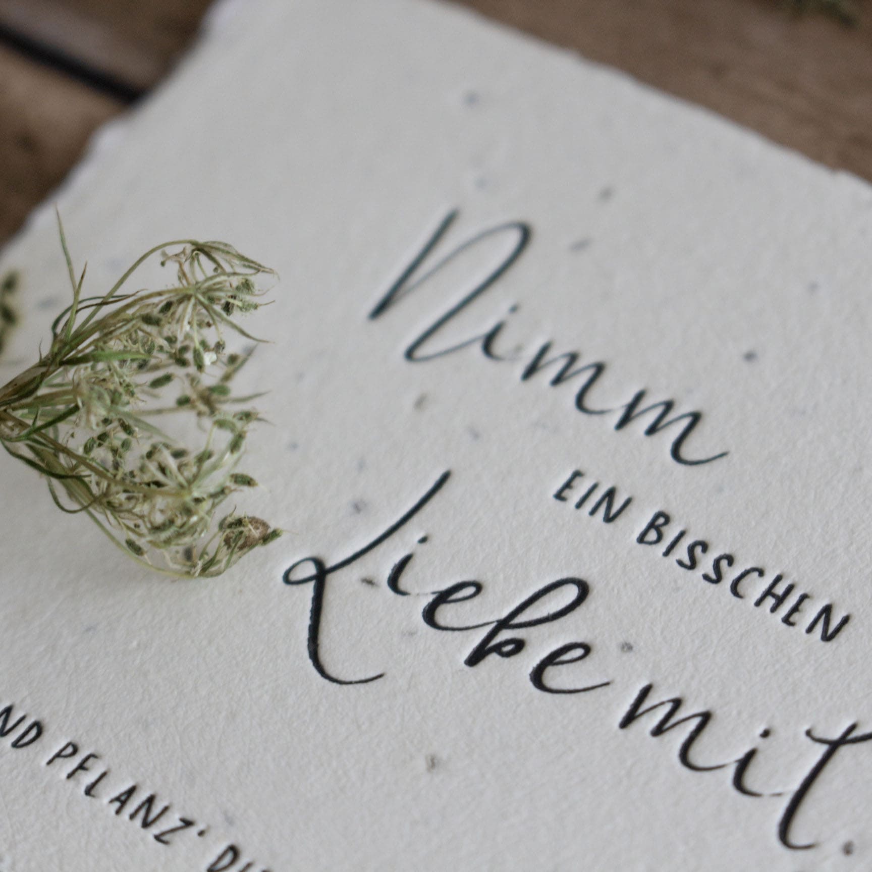 Gastgeschenk-Kärtchen aus handgeschöpftem Saatpapier zum Einpflanzen für Hochzeits, Geburtstag und andere Feiern