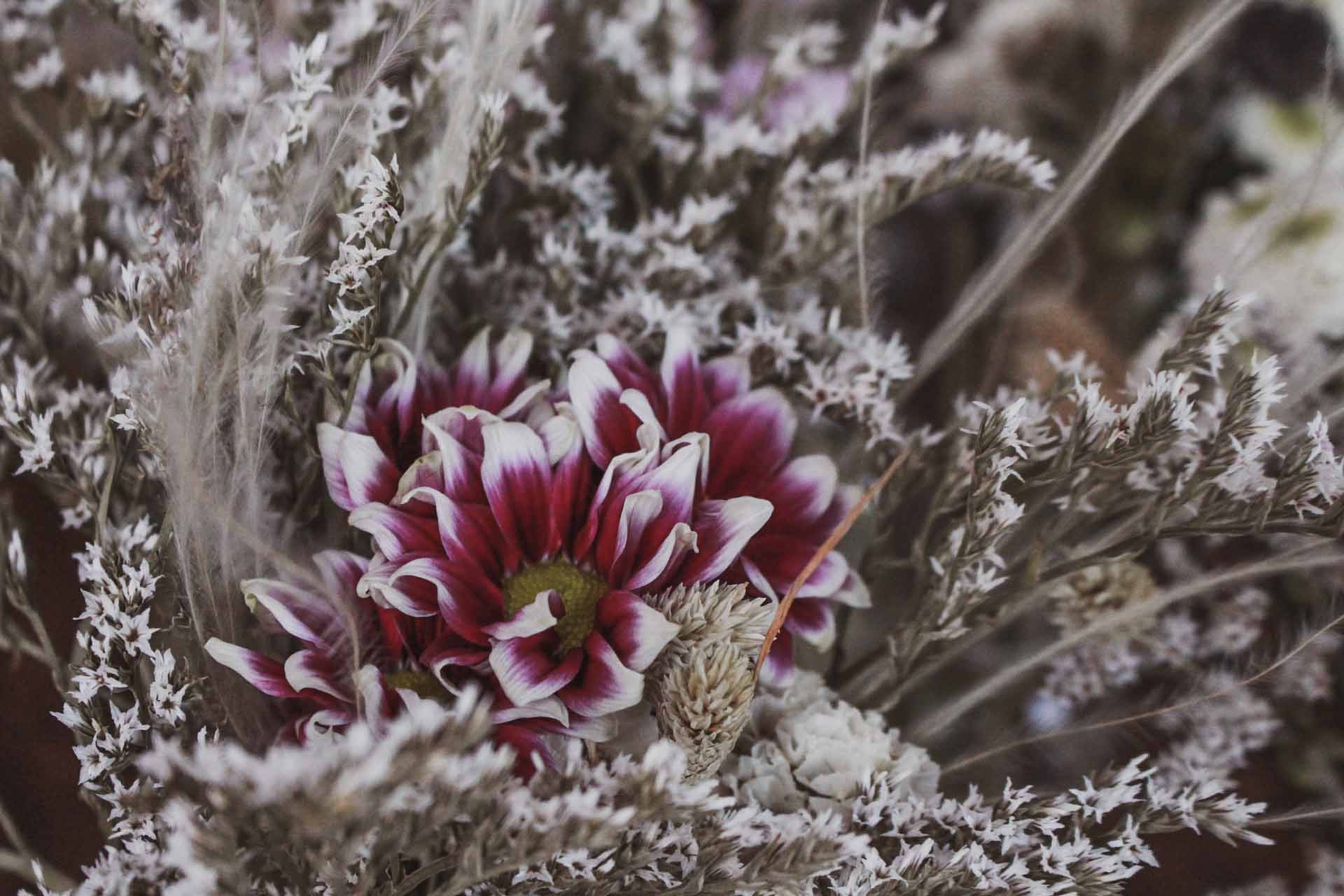 Detailaufnahme von einem schönen Blumenstrauß