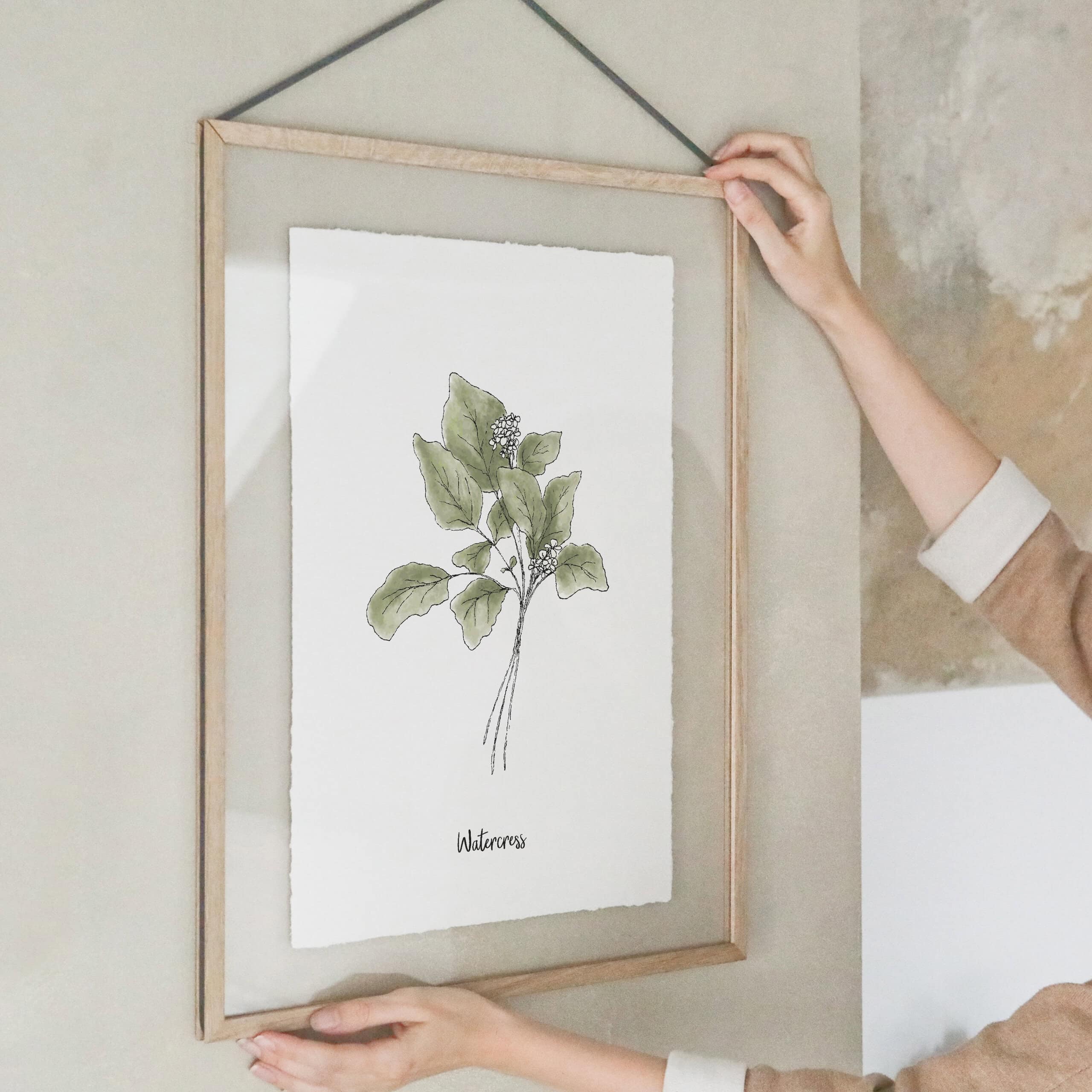 heylittlegreen-Kunstdrucke-Artprints-handgeschöpftes Büttenpapier-Küche-Kräuter-Brunnenkresse (2) Kunstdruck auf handgeschöpftem Büttenpapier mit Kräutermotiv: Brunnenkresse; nachhaltiger Artprint