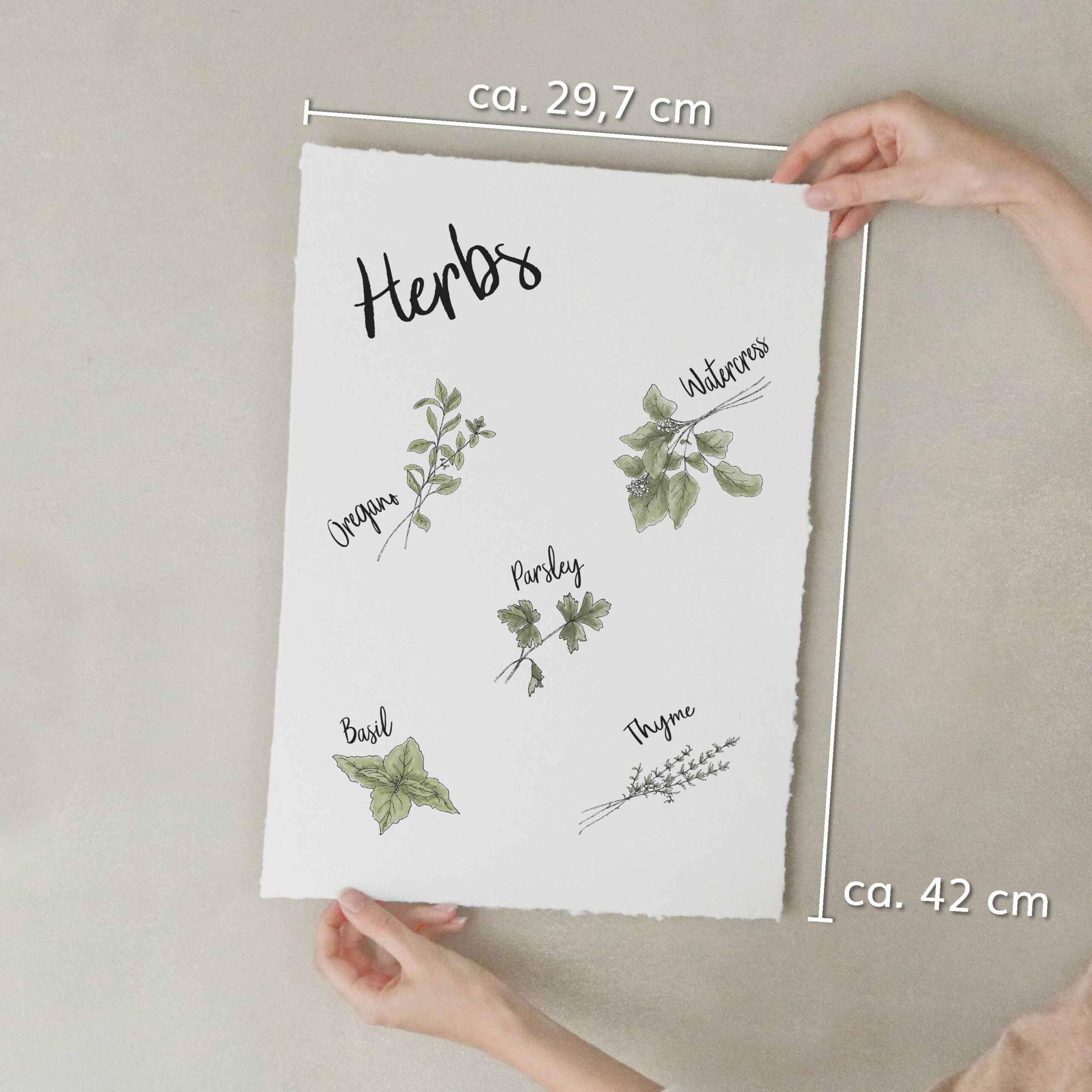 heylittlegreen-Kunstdrucke-Artprints-handgeschöpftes Büttenpapier-Küche-Kräuter-Herbs (5) Kunstdruck auf handgeschöpftem Büttenpapier mit Kräutermotiv: verschiedene Kräuter wie Thymian, Brunnenkresse, Oregano, Basilikum und Petersilie; nachhaltiger Artprint