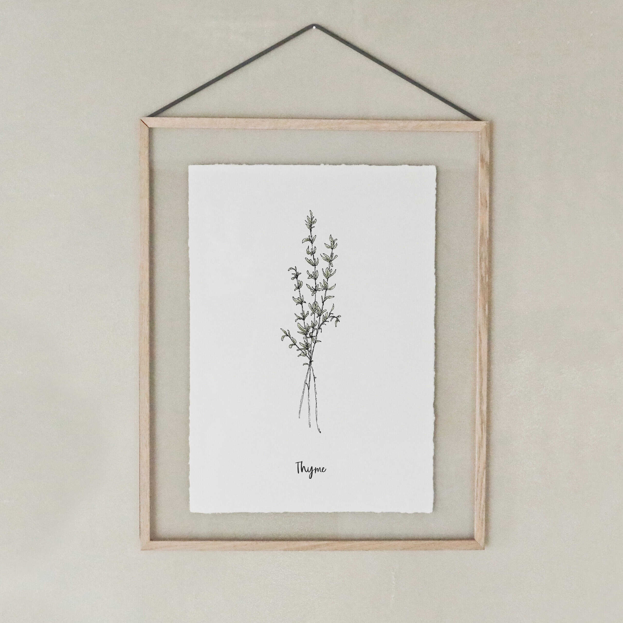 heylittlegreen-Kunstdrucke-Artprints-handgeschöpftes Büttenpapier-Küche-Kräuter-Thymian (1) Kunstdruck auf handgeschöpftem Büttenpapier mit Kräutermotiv: Thymian; nachhaltiger Artprint
