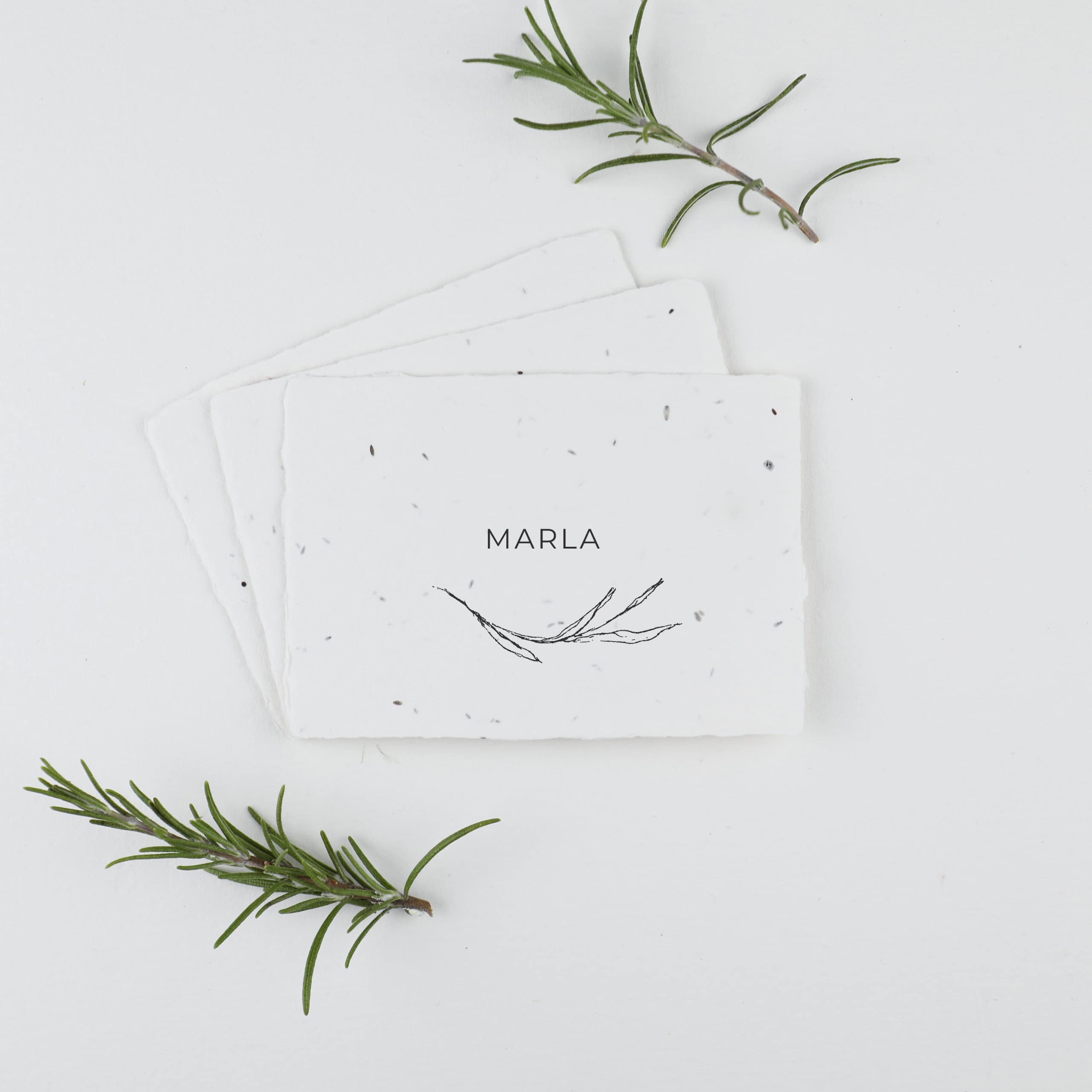 heylittlegreen-handgeschöpftes Saatpapier-nachhaltige Hochzeitspapeterie auf Büttenpapier mit Blumensamen-Serie Rosemary-zarte Zweige-Platzkarte Hochzeit-Namenskarte (16) Platzkarte zum Einpflanzen aus handgeschöpftem Saatpapier für eure Hochzeitsfeier oder einen besonderen Anlass wie Babyparty, Geburtstag, Sommerfeier, Gartenparty