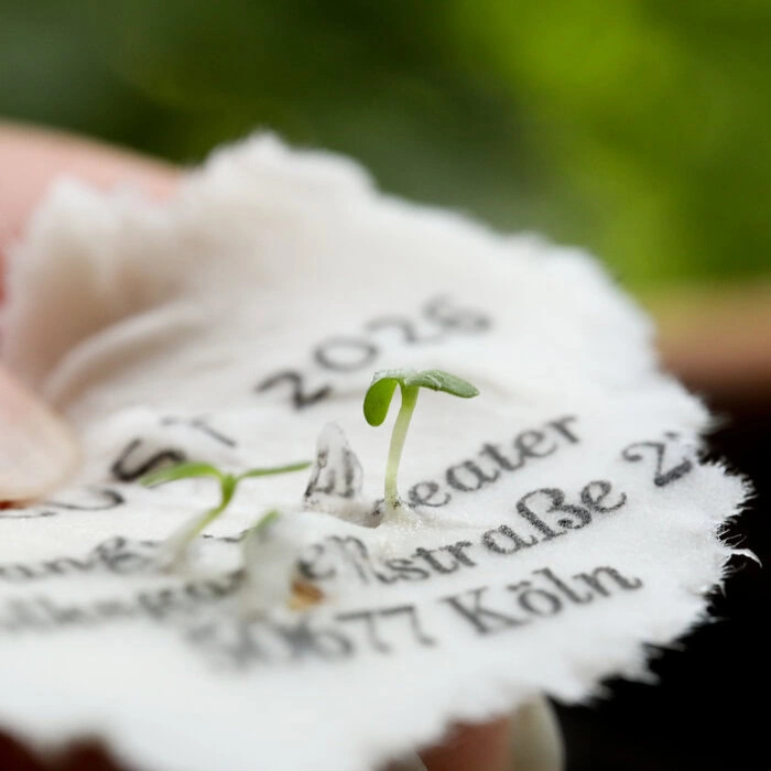 nachhaltige Hochzeitseinladung aus einpflanzbarem Saatpapier aus der Serie Rosemary