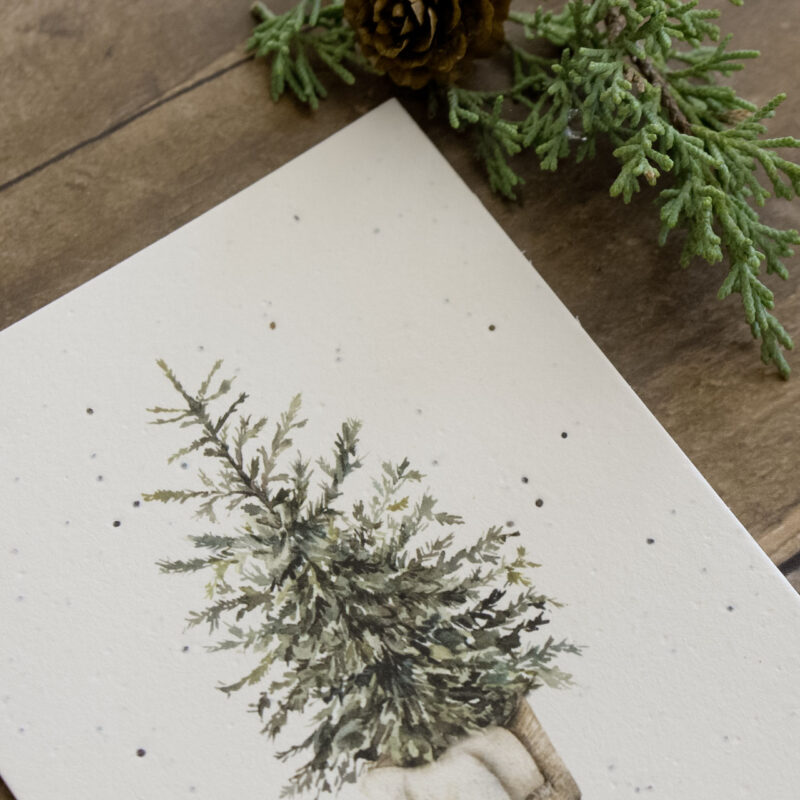 Einpflanzbare Karte "Tannenbaum" von heylittlegreen