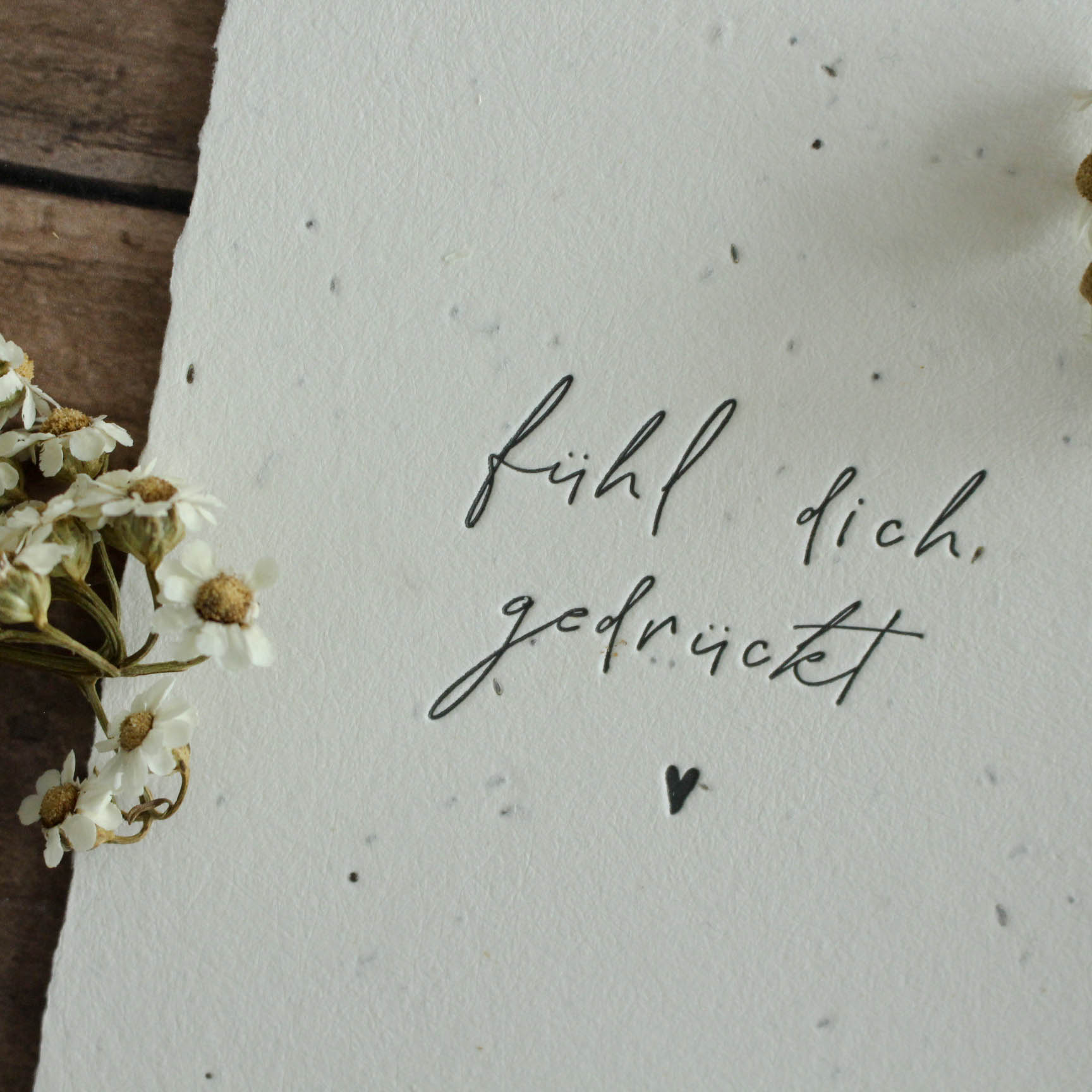 Geburtstagskarte "fühl dich gedrückt" aus handgemachtem Saatpapier zum Einpflanzen
