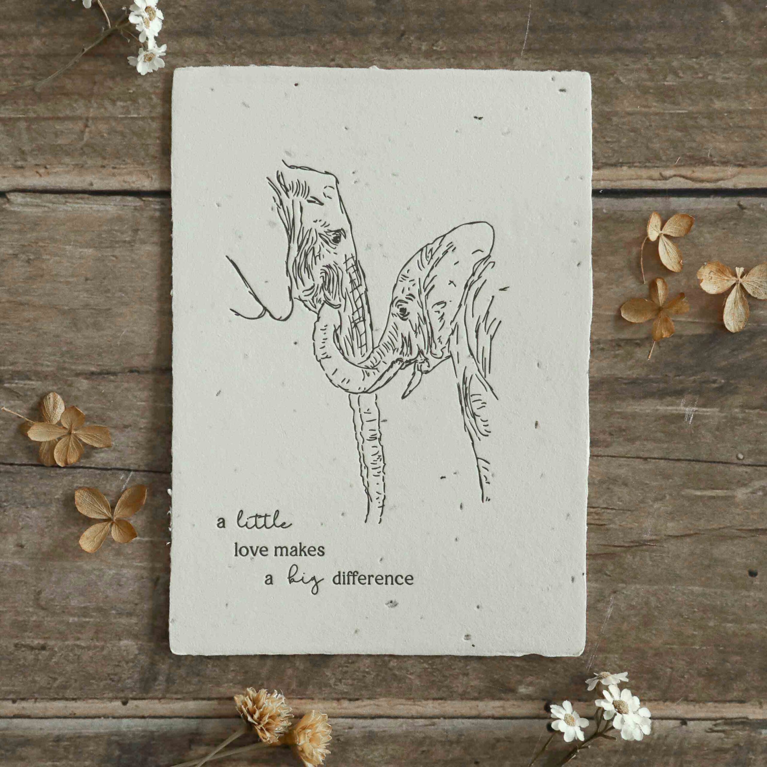 heylittlegreen-handgeschöpftes Saatpapier-Geburtskarte-A little love (2) Geburtskarte A little love mit Elefanten-Motiv und Spruch "A little love makes a big difference", gefertigt auf handgeschöpftem Samenpapier zum Einpflanzen, Wachsende Geburtskarte