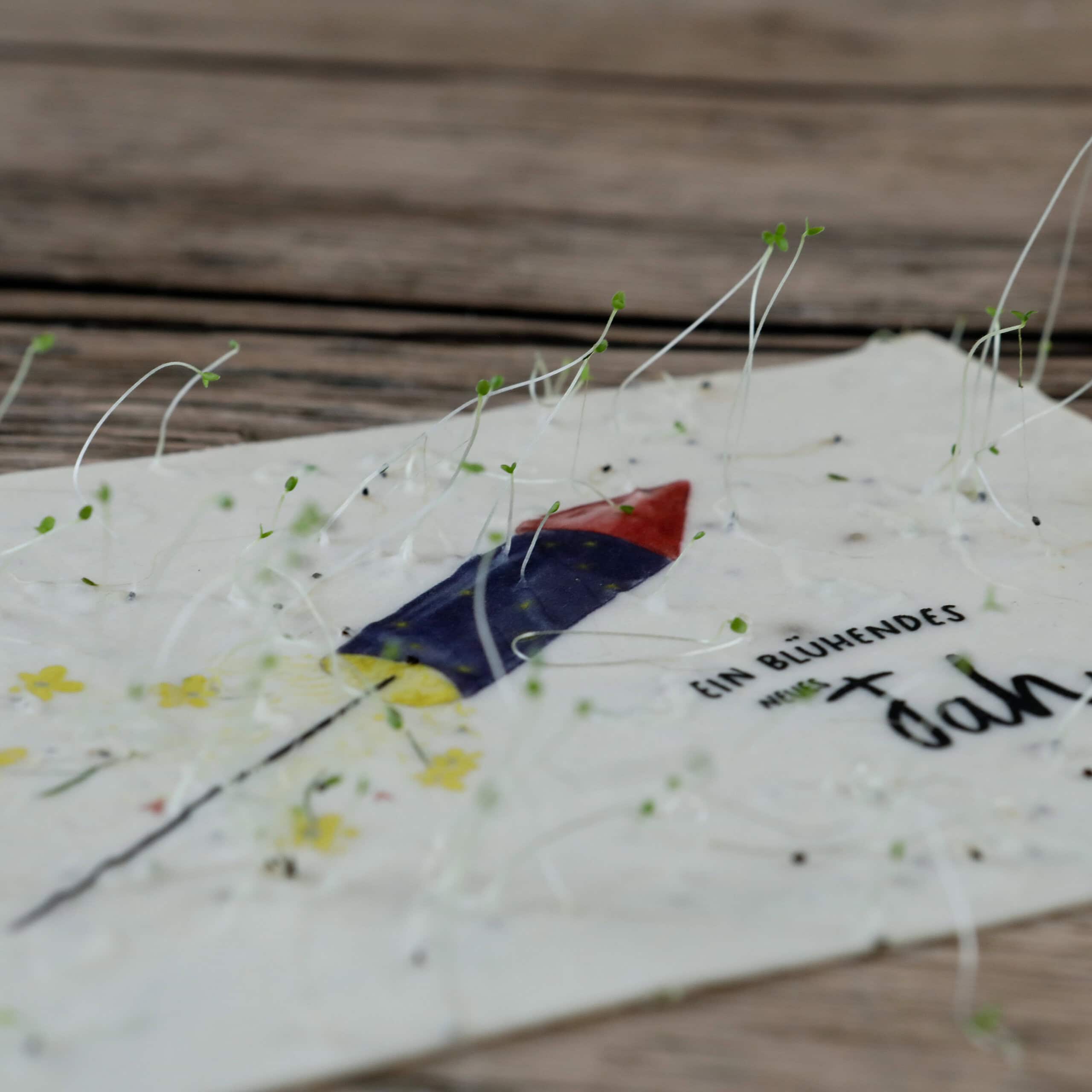 Silvestergruß Karte für ein blühendes neues Jahr mit wachsender Samenkarte