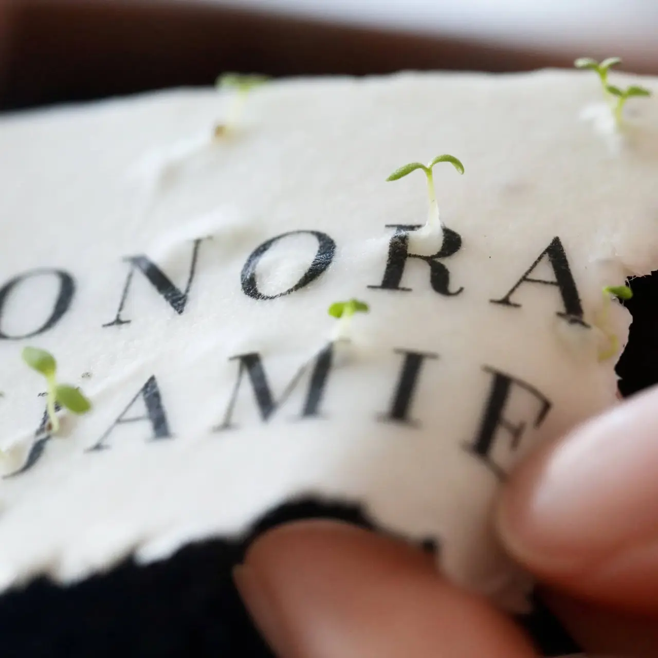 Hochzeitseinladungen aus Saatpapier zum Einpflanzen, Serie Fiora