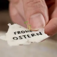 heylittlegreen-Karten-zu-Ostern-zum-Einpflanzen-aus-Saatpapier
