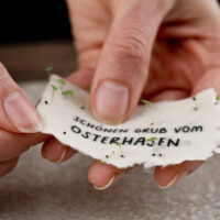 heylittlegreen-Osterkarten-zum-Einpflanzen-Keimung (1)