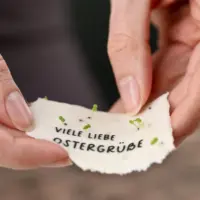 heylittlegreen-einpflanzbare-Osterkarten-aus-Saatpapier-Keimung