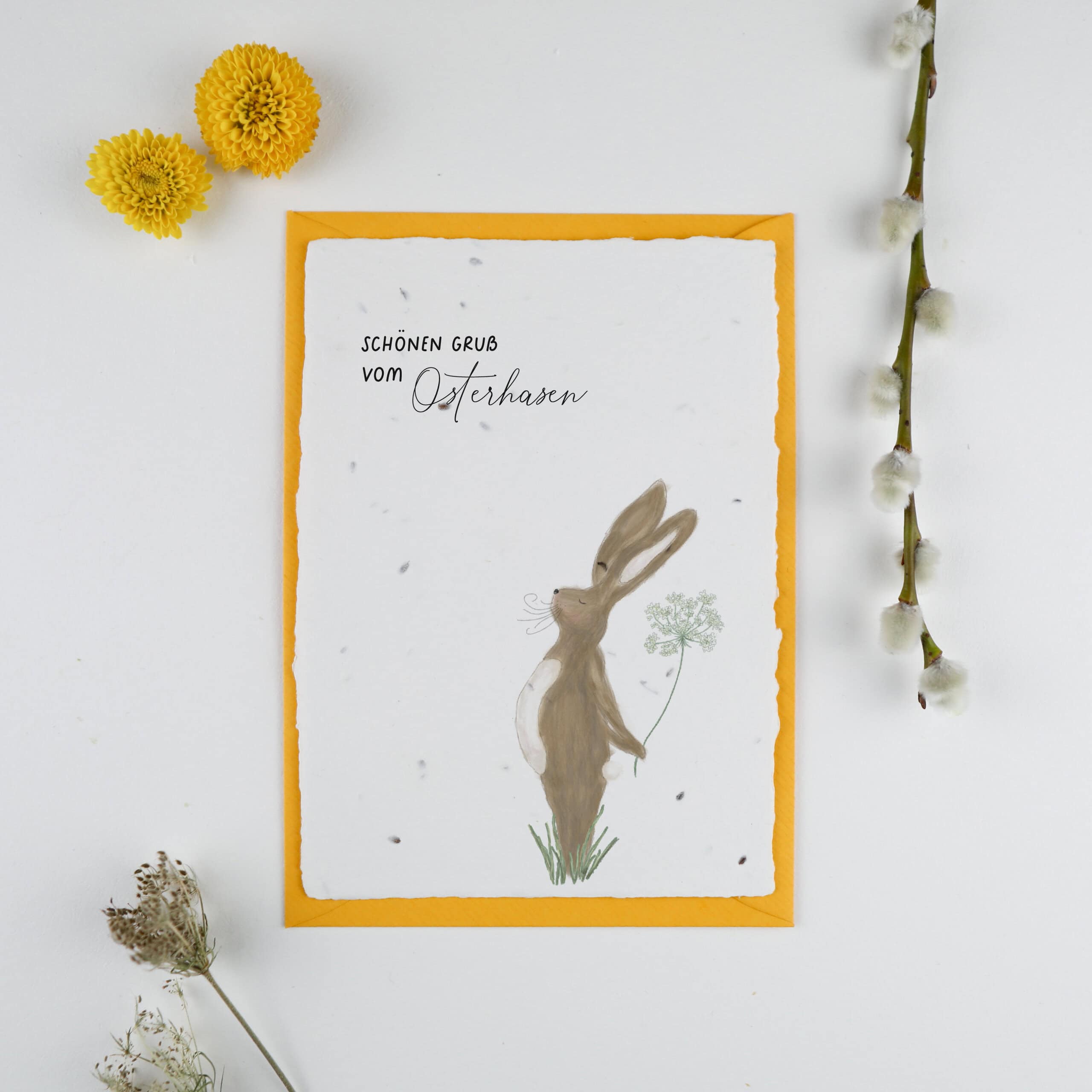 heylittlegreen-handgeschöpftes Saatpapier-Grußkarten-Ostern-Osterkarten-Samenkarten-Gruß vom Osterhasen (2) Frühlingskarten und Osterkarten aus handgeschöpftem Saatpapier mit Blumensamen der Wilden Möhre für wachsende Ostergrüße, Kartenmotiv: Osterhase mit Blumen