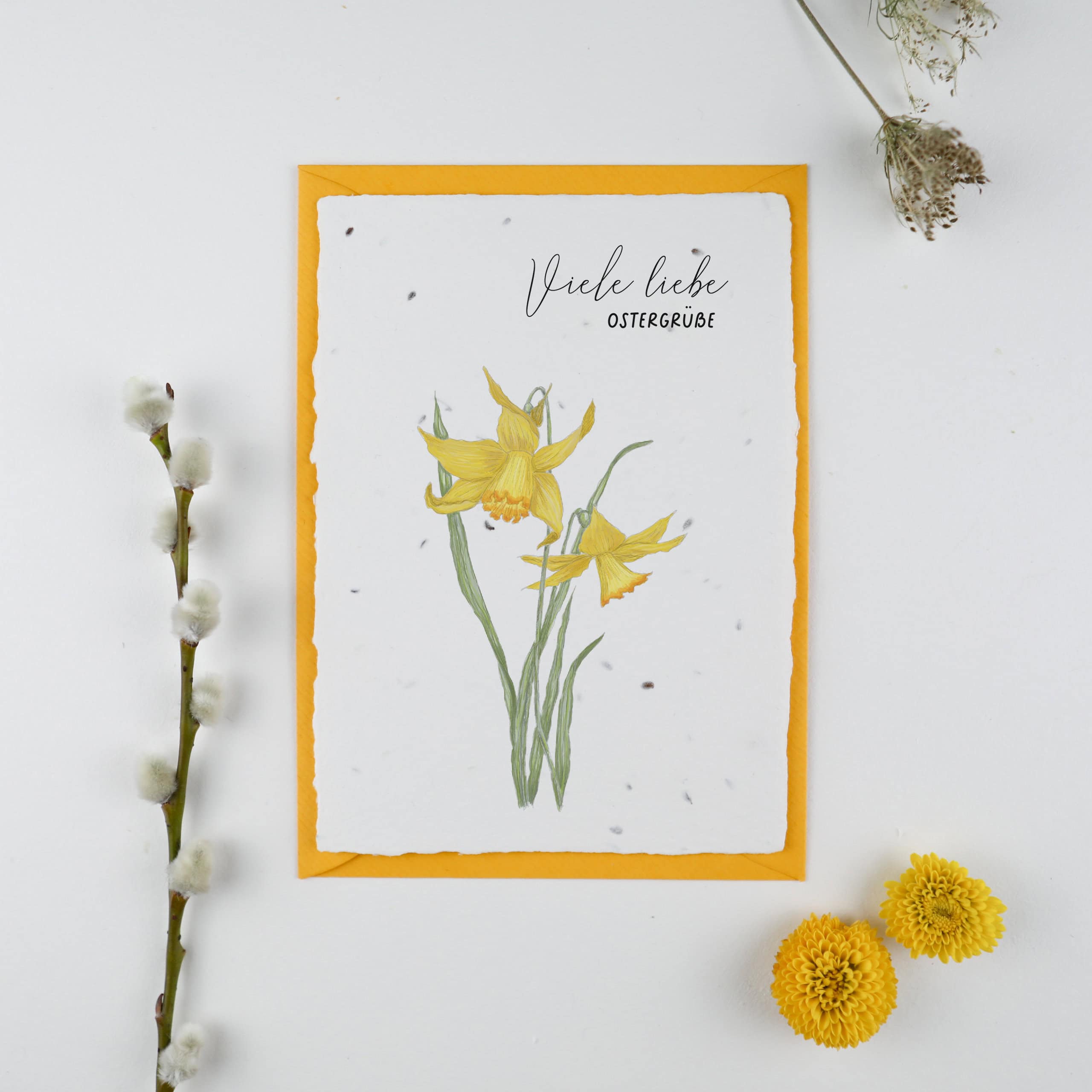 heylittlegreen-handgeschöpftes Saatpapier-Grußkarten-Ostern-Osterkarten-Samenkarten-Osterglöckchen Frühlingskarten und Osterkarten aus handgeschöpftem Saatpapier mit Blumensamen der Wilden Möhre für wachsende Ostergrüße, Kartenmotiv: Osterglöckchen/ Narzisse