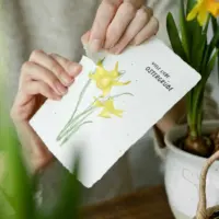 heylittlegreen-handgeschöpftes Saatpapier-Osterkarte-Osterglöckchen (2)