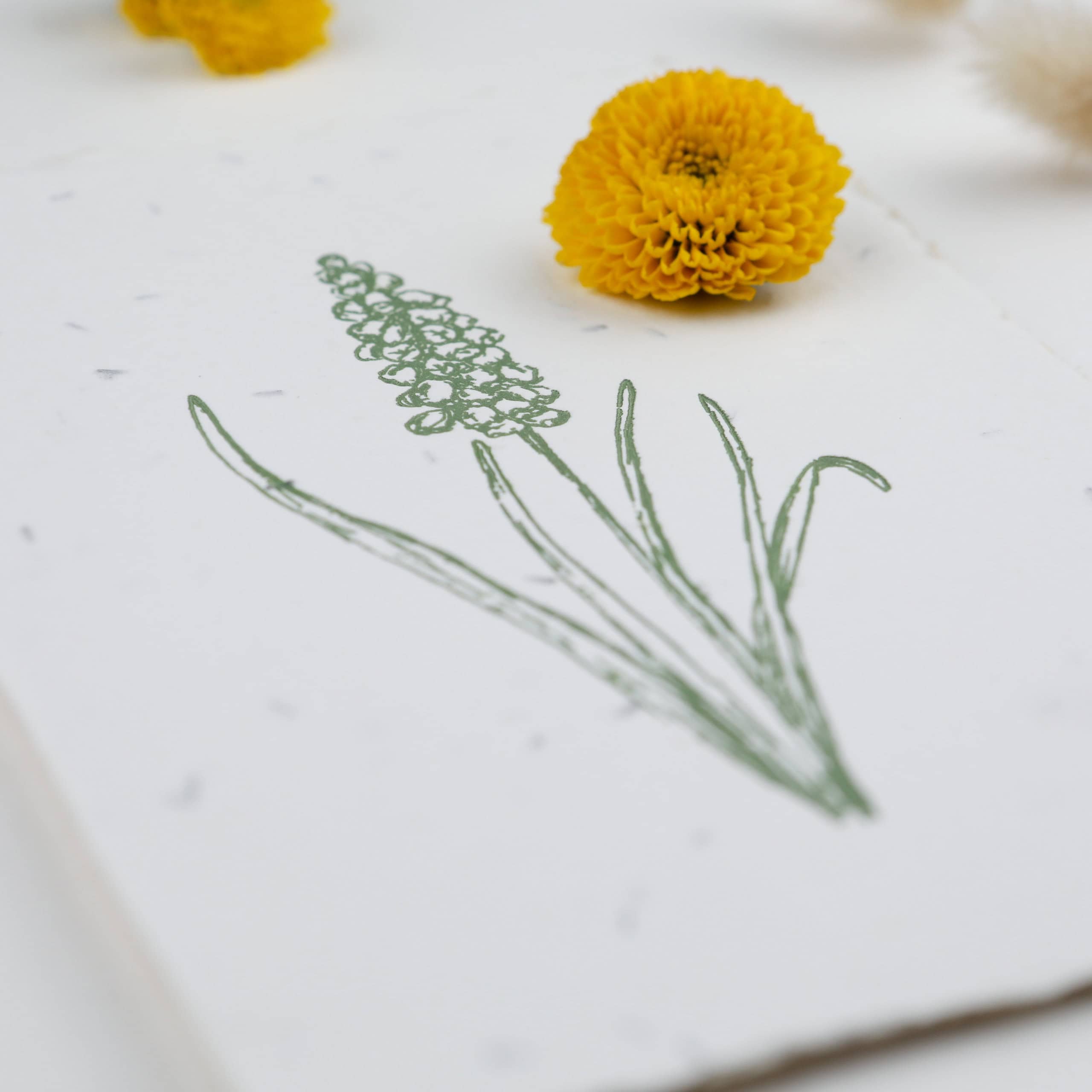 Frühlingskarten und Osterkarten aus handgeschöpftem Saatpapier mit Blumensamen der Wilden Möhre für wachsende Ostergrüße, Kartenmotiv: Hyazinthe