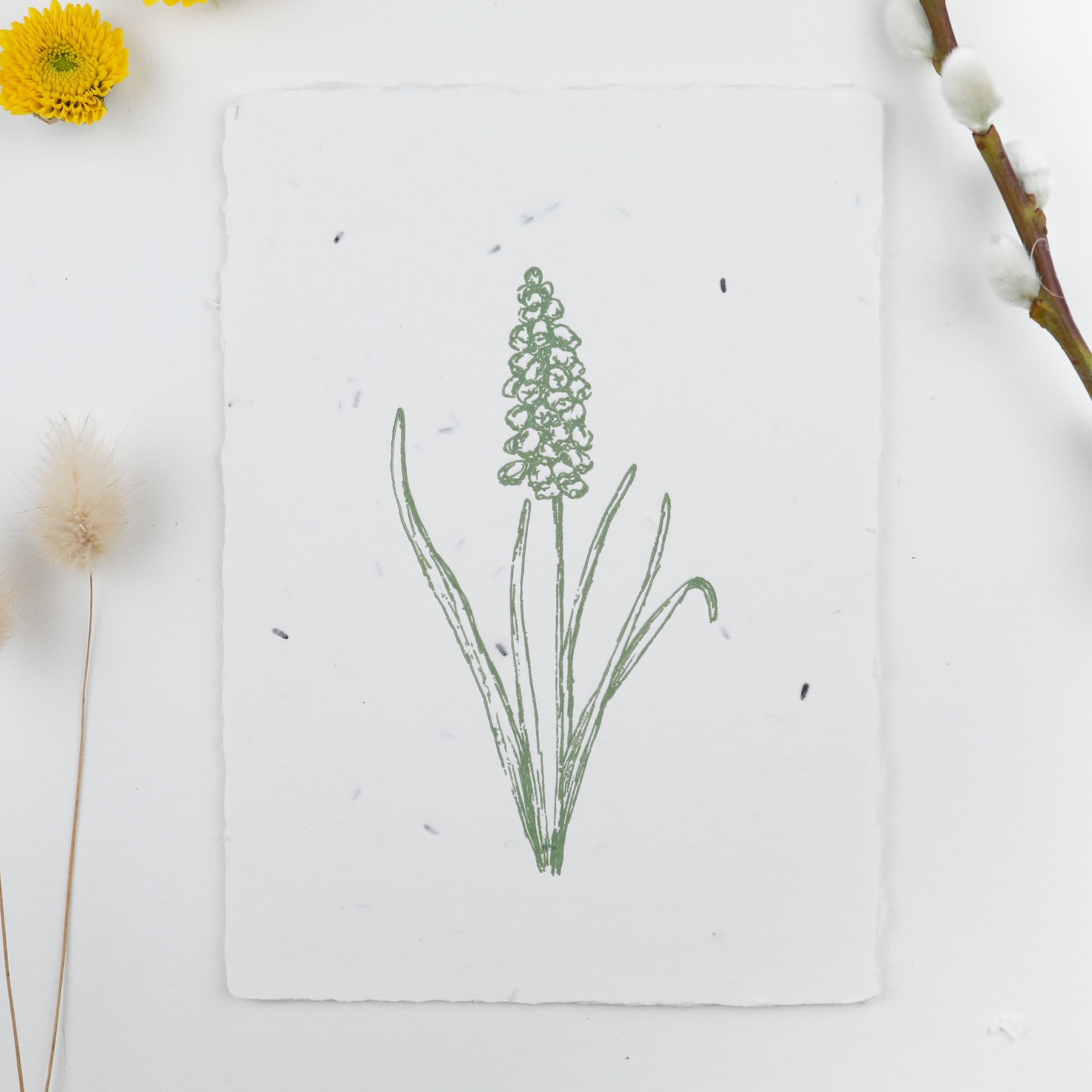 Frühlingskarten und Osterkarten aus handgeschöpftem Saatpapier mit Blumensamen der Wilden Möhre für wachsende Ostergrüße, Kartenmotiv: Hyazinthe