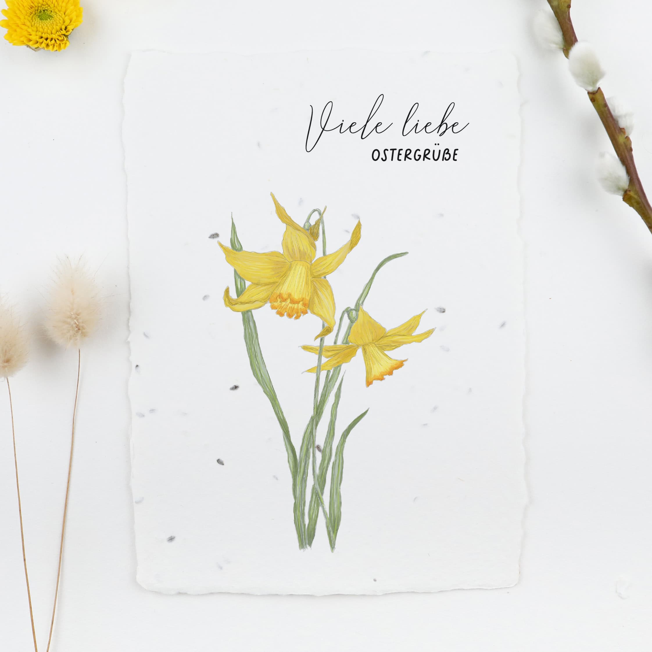 Frühlingskarten und Osterkarten aus handgeschöpftem Saatpapier mit Blumensamen der Wilden Möhre für wachsende Ostergrüße, Kartenmotiv: Osterglöckchen/ Narzisse