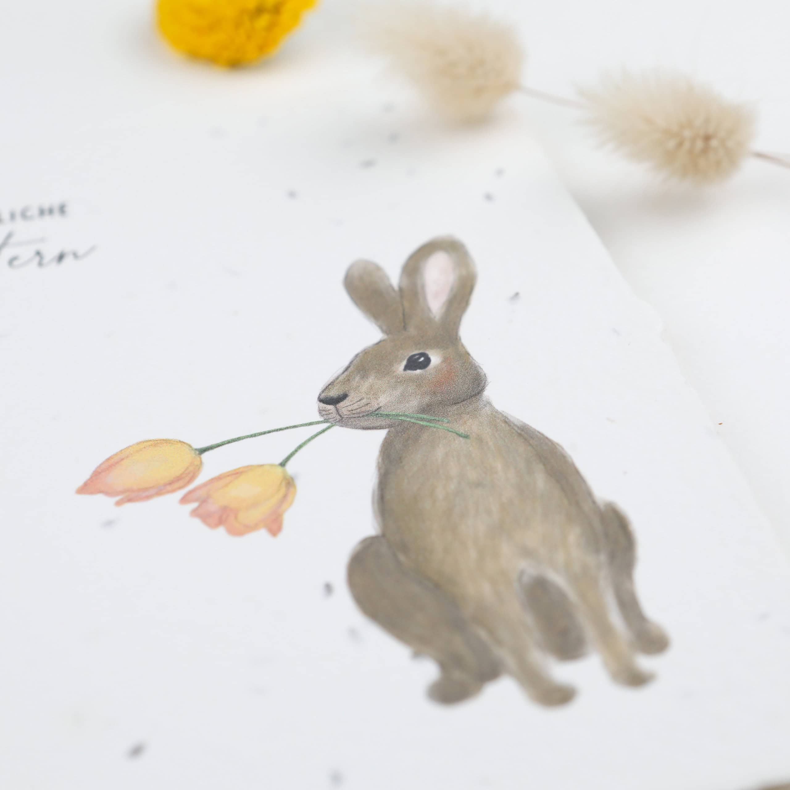 heylittlegreen-handgeschöpftes Saatpapier-Osterkarten-Samenkarten zu Ostern-wachsende Ostergrüße-Frohe Ostern-Osterkartensortiment-Osterhase (2) Frühlingskarten und Osterkarten aus handgeschöpftem Saatpapier mit Blumensamen der Wilden Möhre für wachsende Ostergrüße, Kartenmotiv: Osterglöckchen/ Narzisse