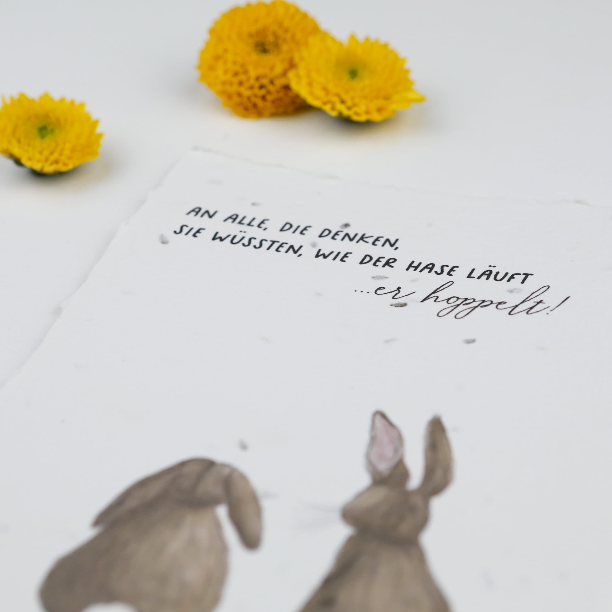 Frühlingskarten und Osterkarten aus handgeschöpftem Saatpapier mit Blumensamen der Wilden Möhre für wachsende Ostergrüße, Kartenmotiv: Zwei Hasen