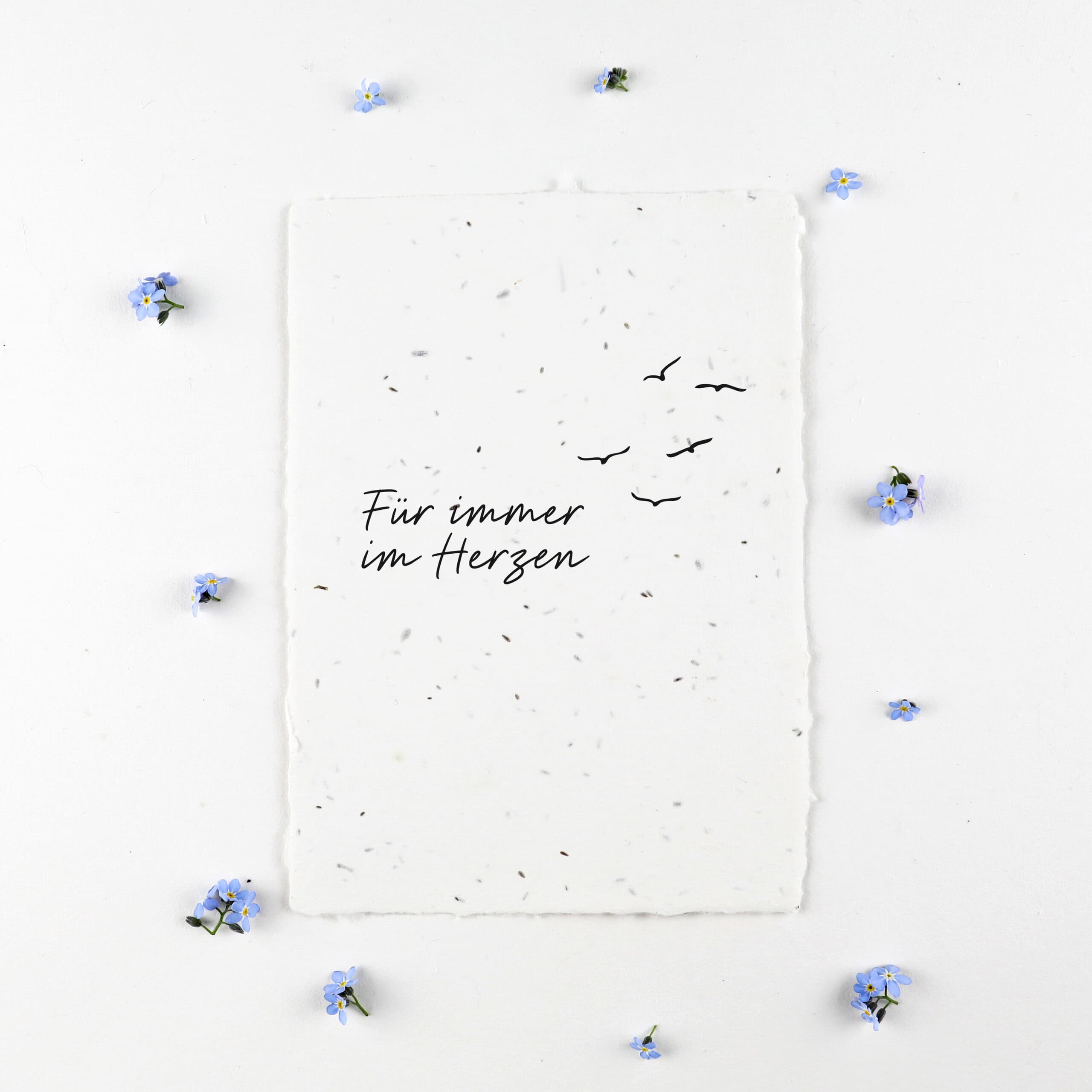 Trauerkarte zum Abschied nehmen, die Erinnerung aufblühen lassen, Motiv auf Kondolenz-Karte: Zugvögel und Trauerspruch