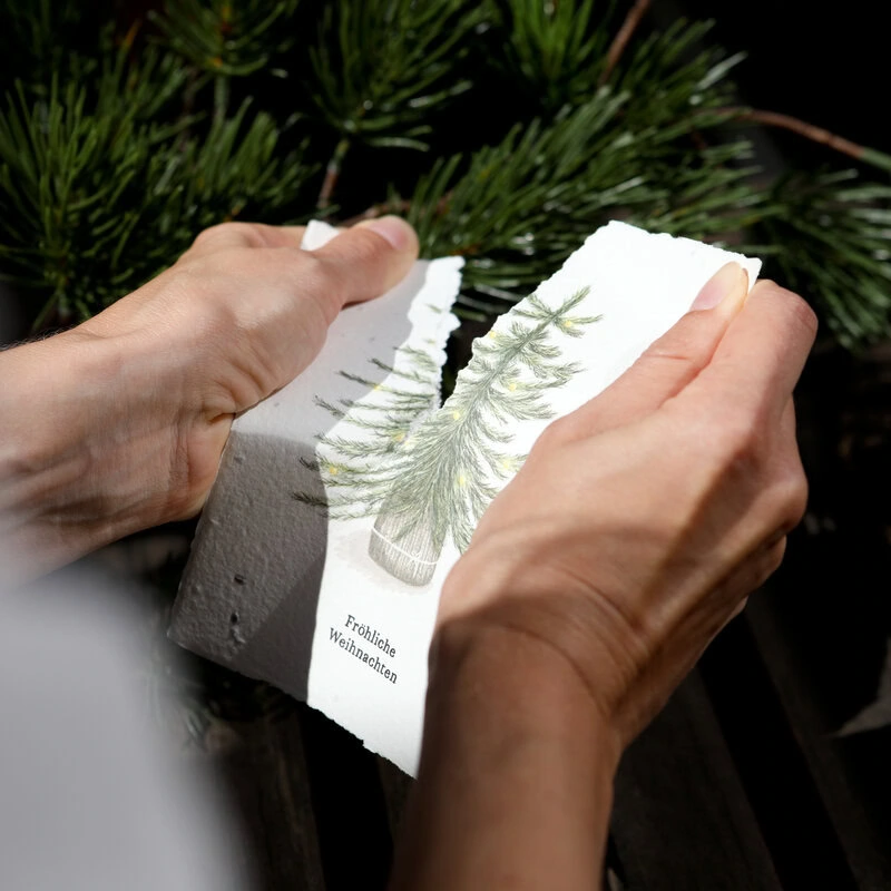 Samenkarte "Weihnachtsbaum" – Bild 5