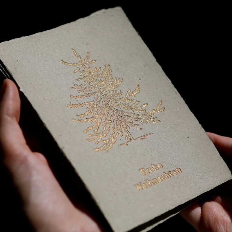 Samenkarte "Goldene Tanne"
