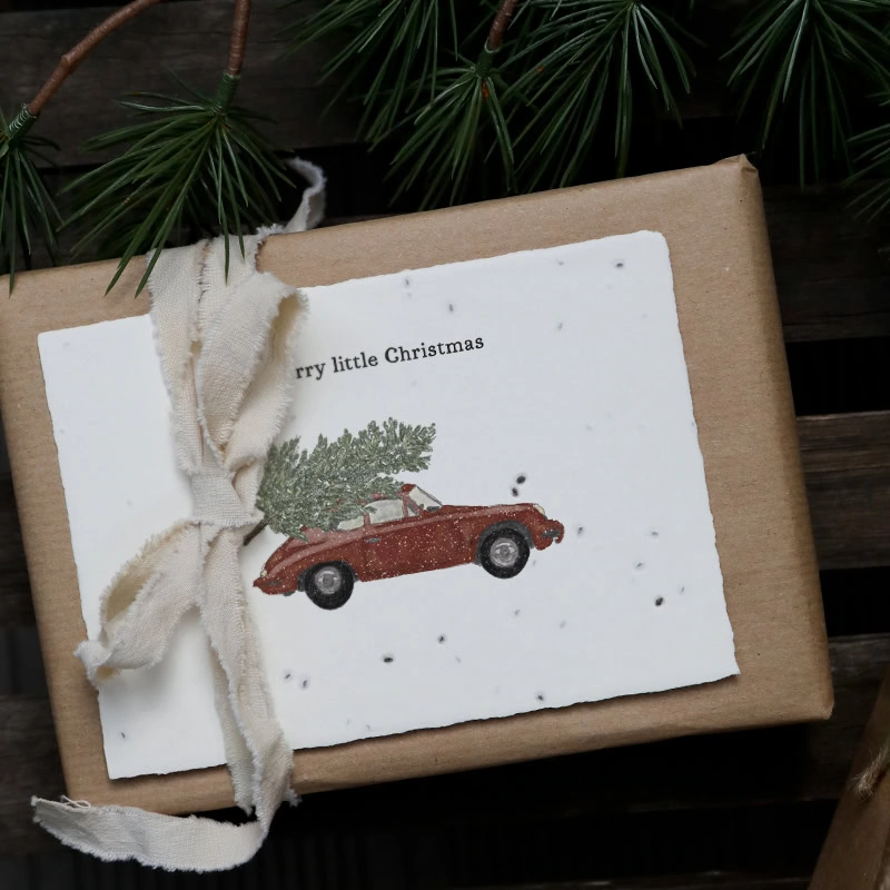 Samenkarte "Merry little Christmas" – Bild 3