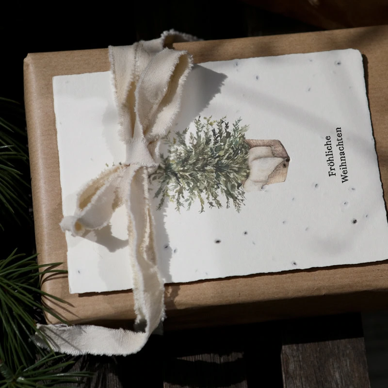 Samenkarte "Tannenbaum" – Bild 5