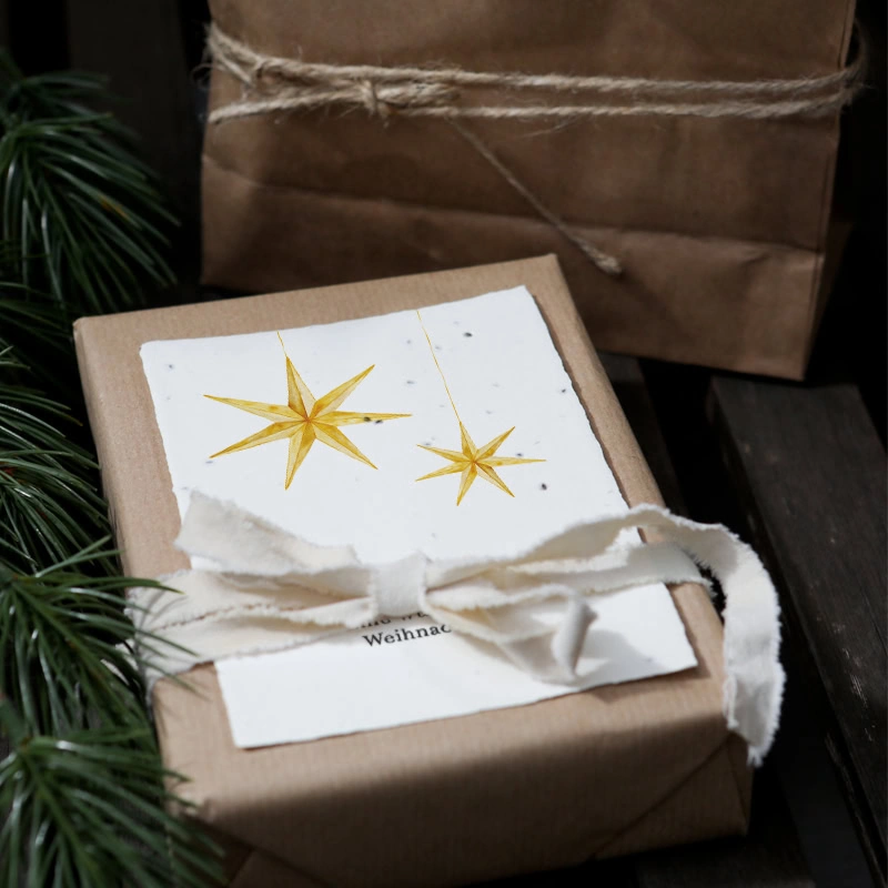 Samenkarte "Weihnachtsstern" – Bild 5