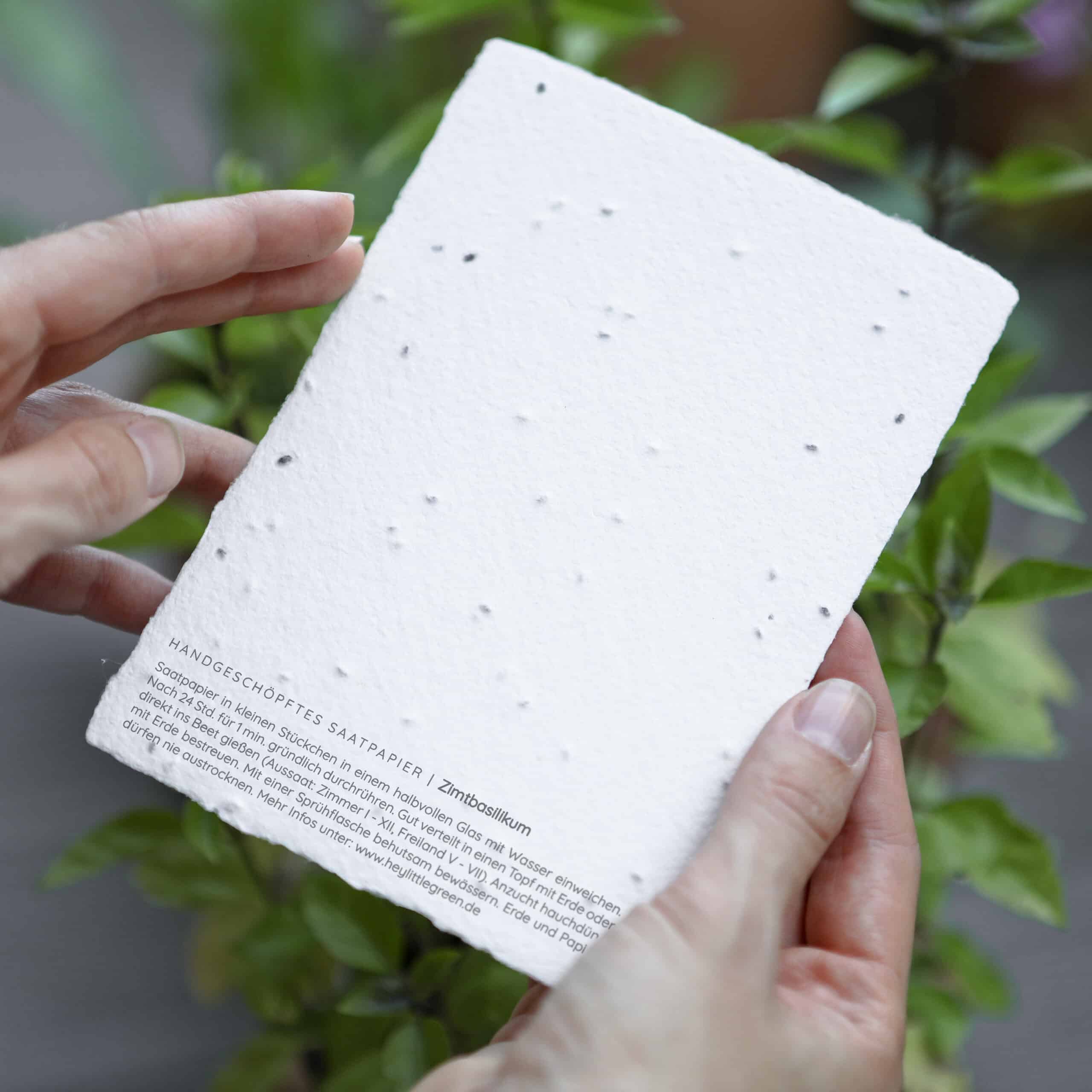 heylittlegreen-handgeschöpftes Saatpapier-Weihnachten-Weihnachtskarten mit Zimtbasilikum-Samen-Rückseite (4)