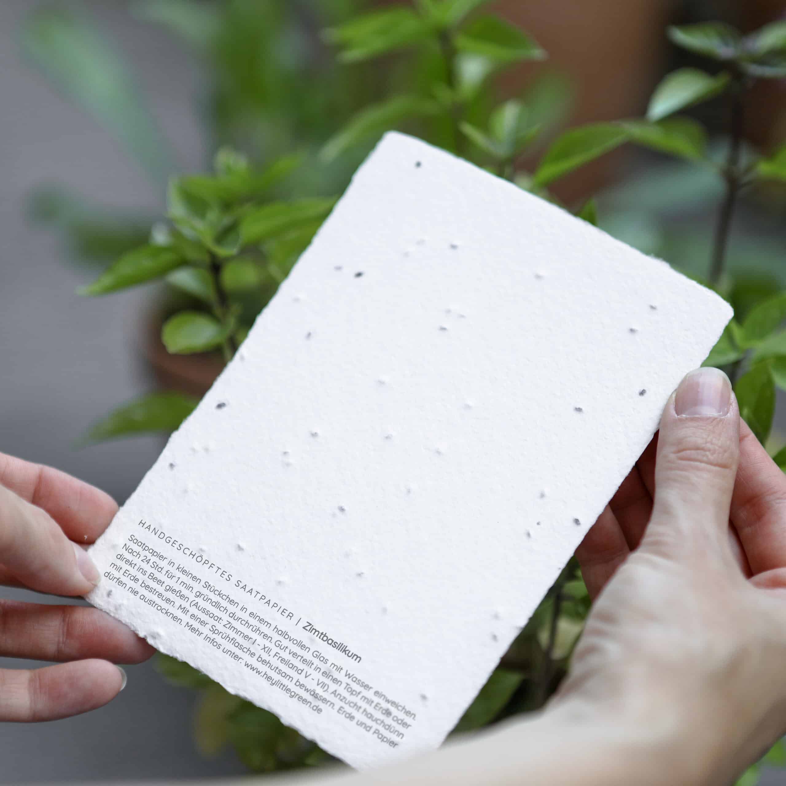heylittlegreen-handgeschöpftes Saatpapier-Weihnachten-Weihnachtskarten mit Zimtbasilikum-Samen-Rückseite (6)