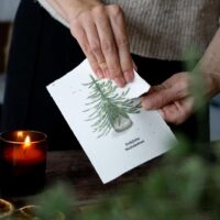 heylittlegreen-handgeschöpftes Saatpapier-Weihnachtskarten-Zimtbasilikum-Wachsende Weihnachtspost (10)