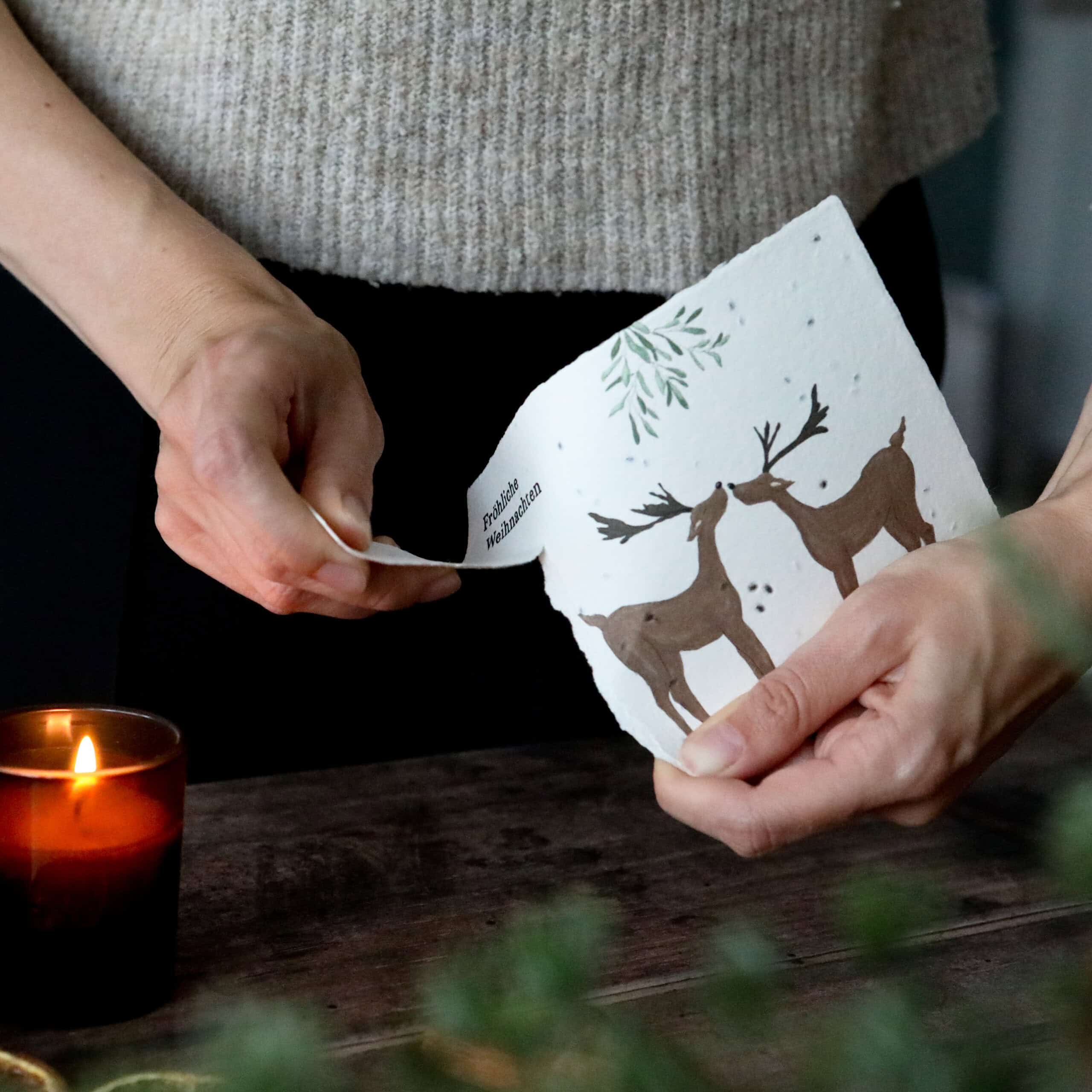 heylittlegreen-handgeschöpftes Saatpapier-Weihnachtskarten-Zimtbasilikum-Wachsende Weihnachtspost (2)