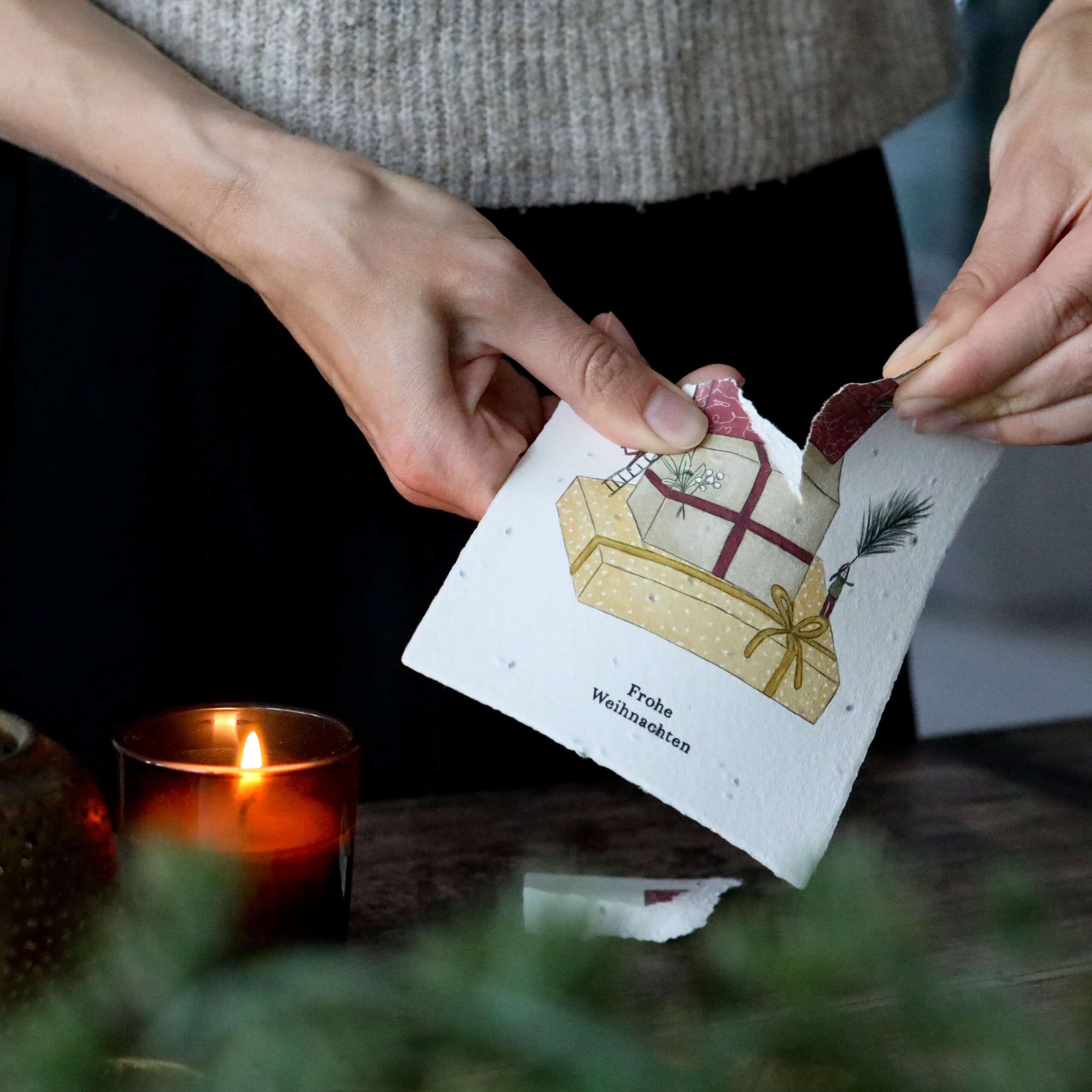 heylittlegreen-handgeschöpftes Saatpapier-Weihnachtskarten-Zimtbasilikum-Wachsende Weihnachtspost (3)