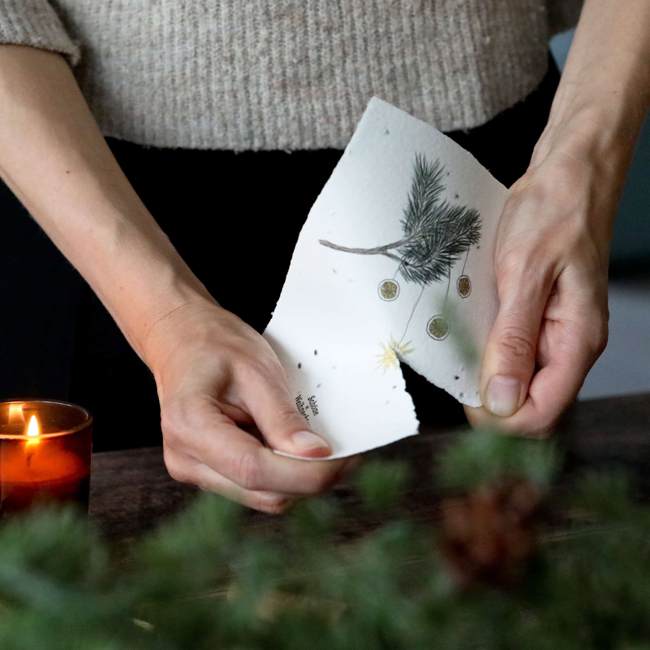 heylittlegreen-handgeschöpftes Saatpapier-Weihnachtskarten-Zimtbasilikum-Wachsende Weihnachtspost (4)