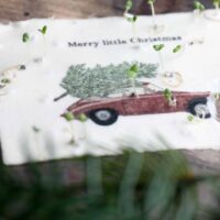 heylittlegreen-wachsende Weihnachtspost-Samenkarten zu Weihnachten-mit Zimtbasilikum (1)