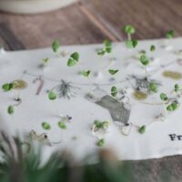 heylittlegreen-wachsende Weihnachtspost-Samenkarten zu Weihnachten-mit Zimtbasilikum (13)