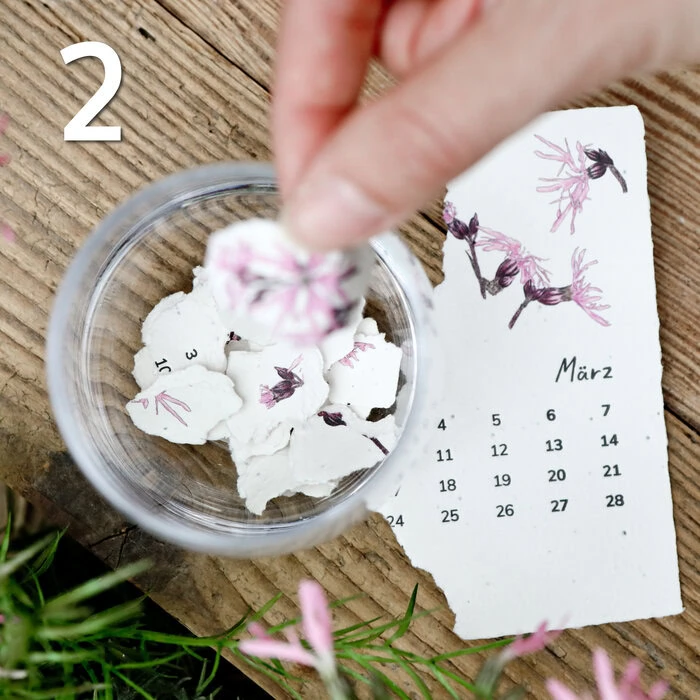 Anleitung Anzucht einpflanzbarer Kalender aus Saatpapier