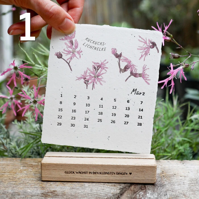 Anleitung Anzucht einpflanzbarer Kalender aus Saatpapier