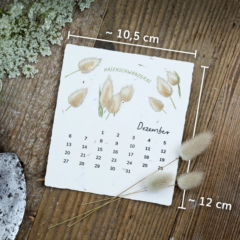 Saatpapier-Kalender zum Einpflanzen mit handillustrierten Pflanzenmotiven