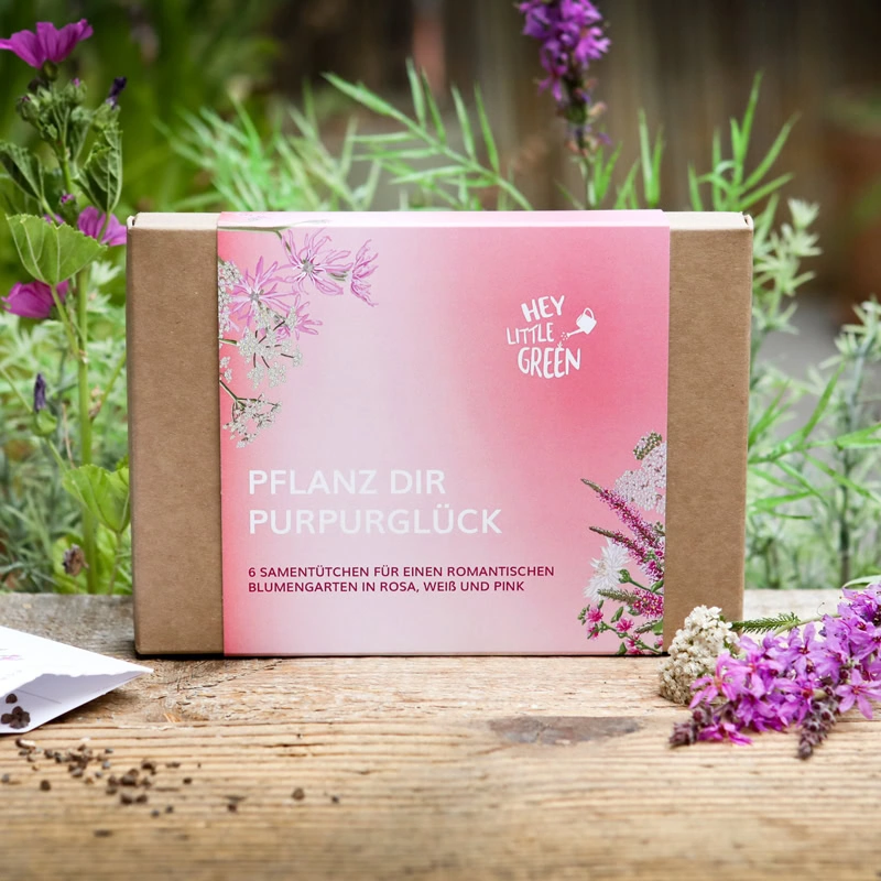 6er-Samenset Purpurglück mit Blüten in Pink, Rosa und Weiß von heylittlegreen