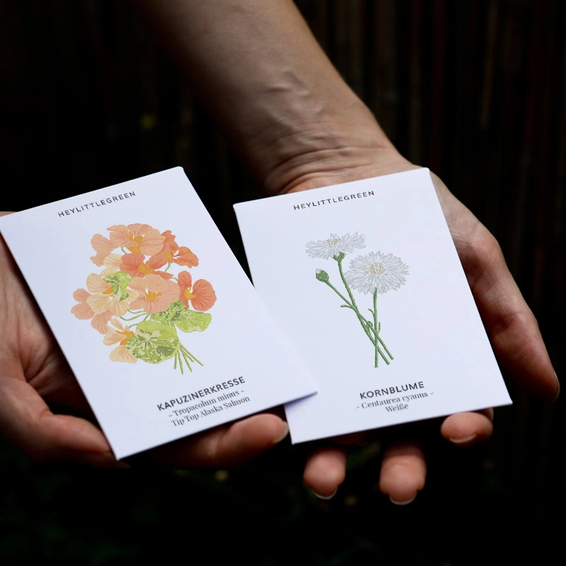 Samentütchen von heylittlegreen mit Kornblume (weiß) und Kapuzinerkresse "Salmon"