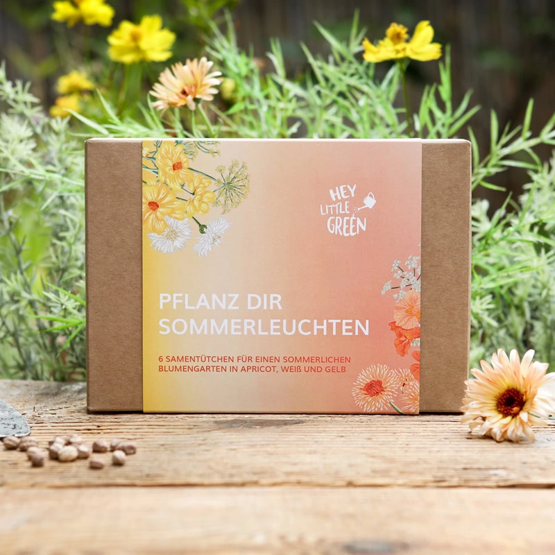 Samentütchen-Set "Pflanz dir Sommerleuchten" mit Blumen in Apricot, Weiß und Gelb