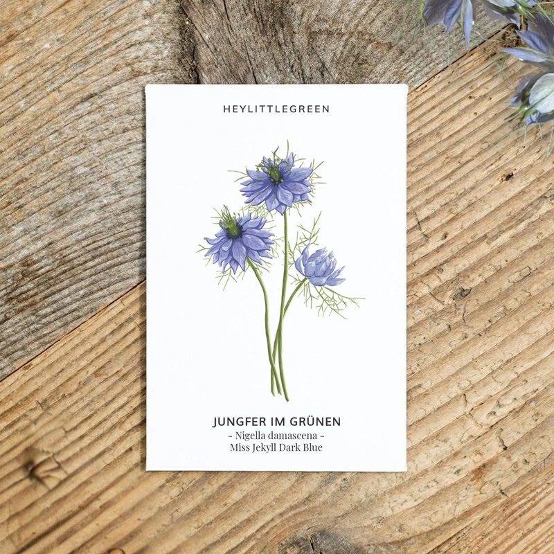 Samentütchen Jungfer im Grünen "Miss Jekyll Dark Blue" – Bild 2