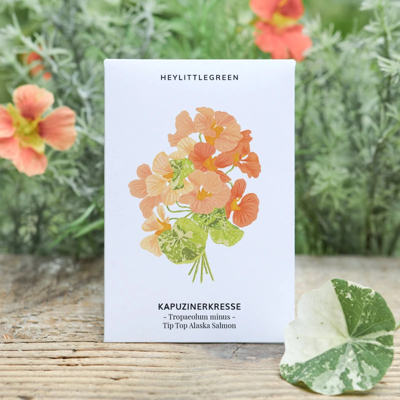 Samentütchen Kapuzinerkresse Tip Top Alaska Salmon Tropaeolum minus von heylittlegreen