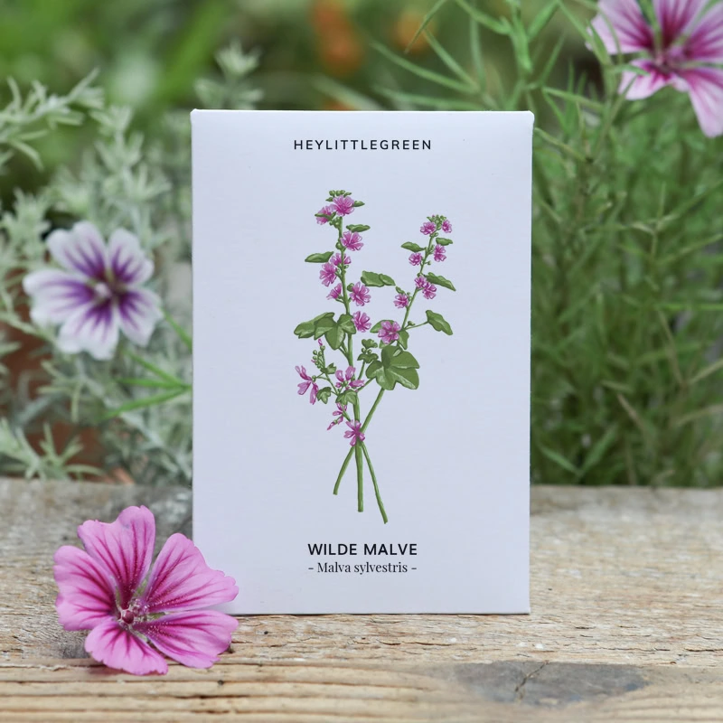 Samentütchen der Wilden Malve Malva Sylvestris