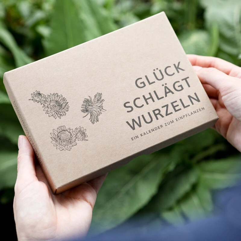 Hochwertige Verpackung vom Saatpapier-Kalender als perfektes Geschenk mit Samen für Blumenliebhaber und Gärtner